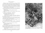 Девяносто третий год. Труженики моря 1324954033