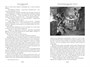Приключения бригадира Жерара (Мир приключений. Большие книги) 1136084867