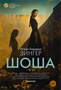 Шоша (твердый) 149359331