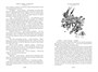 Остров Сокровищ. Черная стрела. Похищенный. Катриона 376231179