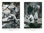 Пятнадцатилетний капитан. Пять недель на воздушном шаре (Иностранная литература. Большие книги) 712072800