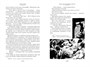 Пятнадцатилетний капитан. Пять недель на воздушном шаре (Иностранная литература. Большие книги) 712072800