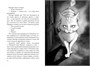 Кот, который любил книги (Азбука-бестселлер) 1555004941