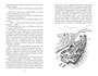 Тысяча осеней Якоба де Зута (мягкая обложка) 1376278276