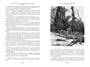 Гвианские робинзоны 297345085