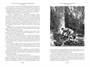 Гвианские робинзоны 297345085