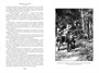 Сын Красного Корсара. Последние флибустьеры (Иностранная литература. Большие книги) 2071476937