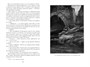 Коварный брамин из Ассама. Гибель империи. Реванш Янеса 204017981