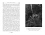 Дракула (The Big Book (мягкая обл)) 1382168526