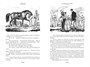 Всадник без головы. Морской волчонок (Иностранная литература. Большие книги) 1826027906