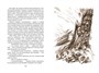 Томек среди охотников за человеческими головами 1175433879