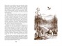 Томек и таинственное путешествие 1462883152