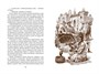 Томек ищет снежного человека 1495083822