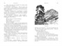 Чумные Псы (твердый) 335630973