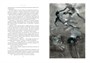 Двадцать тысяч лье под водой (Больше чем книга) 1203382491