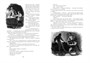 Графиня де Монсоро (Больше чем книга) 205337741
