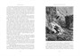 Похитители бриллиантов (Больше чем книга) 1448942897