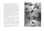Корабль-призрак (Больше чем книга) 1736346479