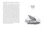 Великие тайны океанов. Атлантический океан. Тихий океан. Индийский океан (илл. Виктор Мейреллис ди Лима и др.) 978168565