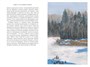 Повесть о настоящем человеке (илл. Михаил Бычков и др.) 1171496113