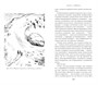 Поселок (илл) 922108187