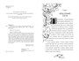 Пепельные следы 1891325548