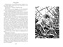 Последняя война (илл. Виктор Минеев и др.) 1035500050