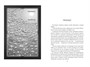 Устремленная в небо. Книга 3. Цитоник 268685018