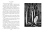 Время и боги. Дочь короля Эльфландии 1727345147