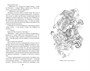 Дракон и карп. Книга 2. Сто страшных историй 131719232