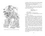 Дракон и карп. Книга 1. Кукла-талисман 667027528