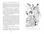 Дракон и карп. Книга 1. Кукла-талисман 667027528
