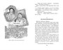 Нюансеры 1605756561