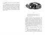 К западу от Эдема (илл) 447308460