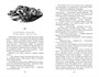 К западу от Эдема (илл) 447308460