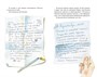 О чём думает моя голова (Классная литература) 577842821