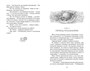 Поллианна (Классная литература) 1008669336