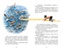 Васюткино озеро. Рассказы (Классная литература) 2013893597