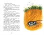 Васюткино озеро. Рассказы (Классная литература) 2013893597