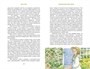 Приключения Тома Сойера (Коллекция приключений) 657408669