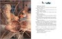 Серебряное копытце (илл. Елена Белоусова и др.) 821246804