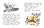 Как Маша поссорилась с подушкой (Чудесные книжки для малышей) 797308092