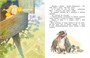 Как Маша поссорилась с подушкой (Чудесные книжки для малышей) 797308092
