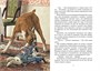 Удивительное путешествие кролика Эдварда (интегральный) 250516279