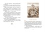 Удивительное путешествие кролика Эдварда (интегральный) 250516279