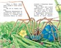 Как Муравьишка домой спешил (Классная литература) 955230139