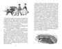 Питер Пэн (Классная литература) 2048223920