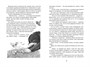 Чудесное путешествие Нильса с дикими гусями (Чтение-лучшее учение) 1968147756