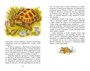 Рассказы и сказки (Классная литература) 855660478