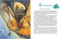 Комплект «Волшебник Изумрудного города. Все приключения в 6 книгах» 1335130879